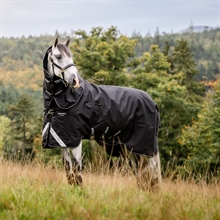 Horseware Amigo Super Bravo Plus 250 gram winterdeken